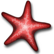 (c) Redstarfishwebdesign.com